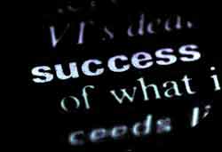 Website Design Services Chicago